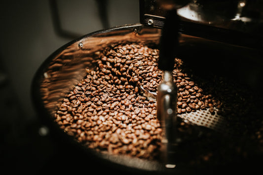 Calidad y diferencias en el café de especialidad de Veracruz ☕.